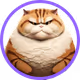 CHONK