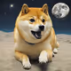 moondog