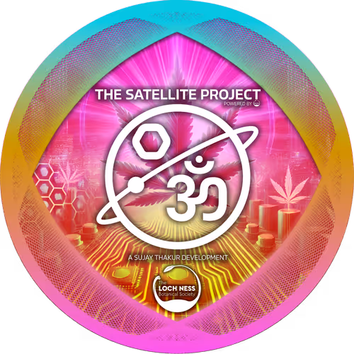 The Satellite Project Om