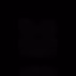 项目媒体占位符