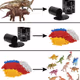 cycle of life