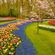 basenftgarden2