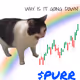 PURR memes