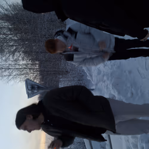 Frozen BalletFrozen Ballet