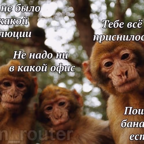 0x0d7058a023ed059522d25bee0e1fa2671542c471