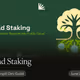 Squad Staking