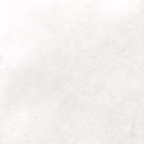 Latent Space Crawler