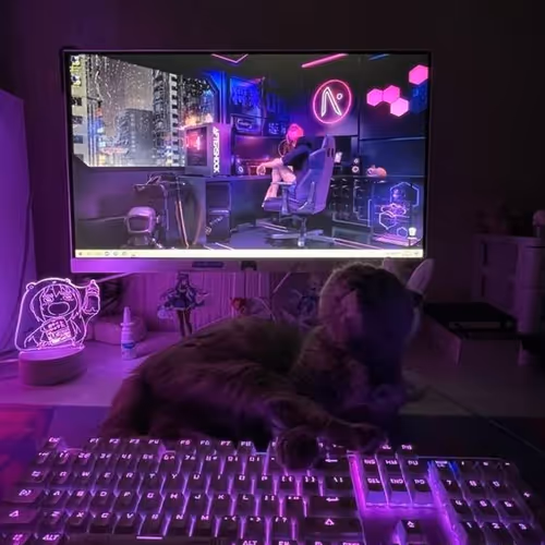 FRAY KITTY
