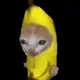 BananaCat 🍌😹  NFT HOLDER