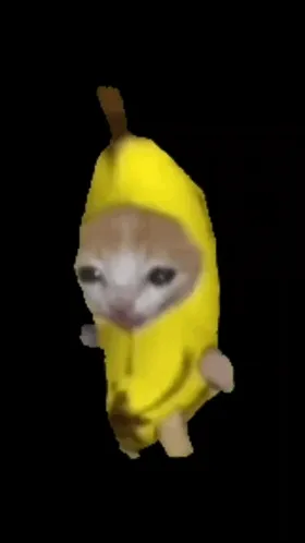 BananaCat 🍌😹  NFT HOLDER