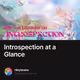 Introspection at a Glance