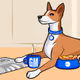 Basenji
