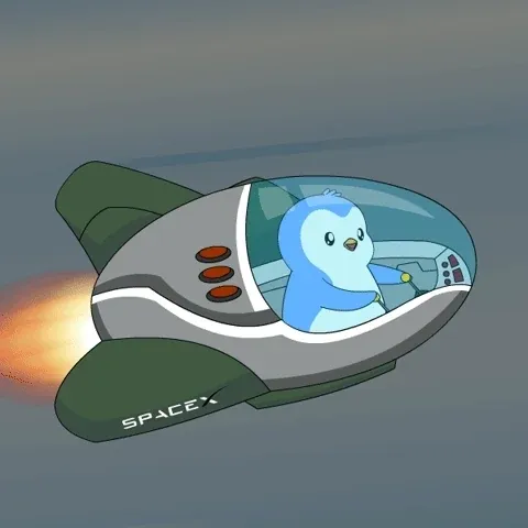 PENGU SpaceX 5
