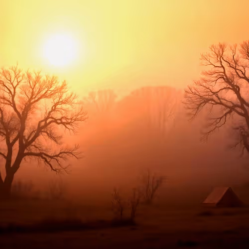 Misty day