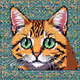 kitty Cat