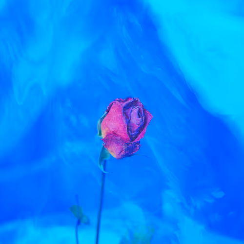 it's not about having what you want, it's about wanting what you got