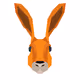 MASKAMET: The Animal Kingdom Reimagined