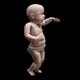 Memetic