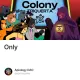 The Final Trial: When Colonies Converge