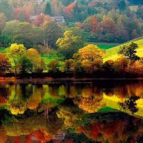 Nature