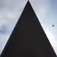Zora Posts