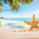 Base Summer