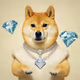 Pov Doge