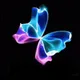 Base Butterfly