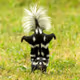skunk8