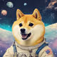Doge Visiting the Moon