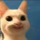 bebe