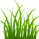 Grass
