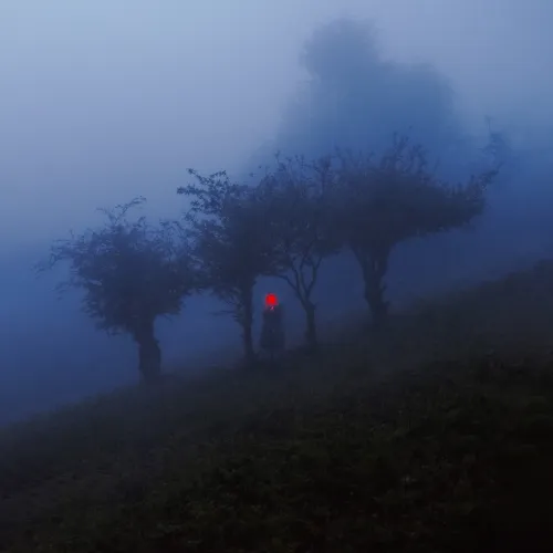 redlight