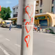 Dear Padua