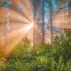 Be A Light
