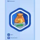 Blockscout GitCoin21 badge