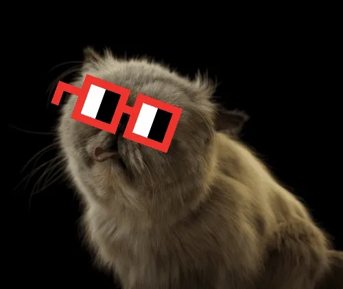 Mister Miggles-Noggles
