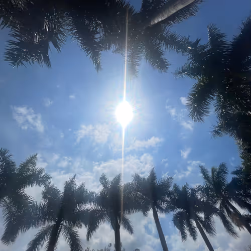 the stream feels higher