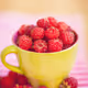 Sprockleberry