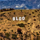 bloofostercoin