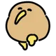 Kiwi Bird