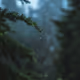 bn