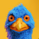 Blue Birds