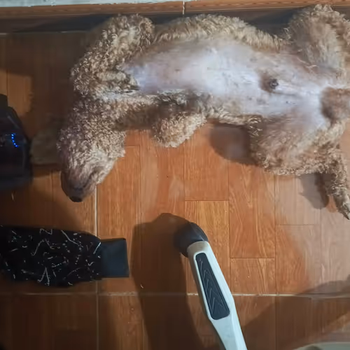 never sleep when market is awake