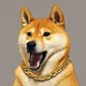 DOG im Shock