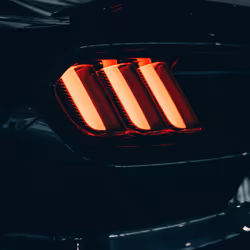 專案媒體佔位符