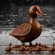 Duck🦆Chocolate