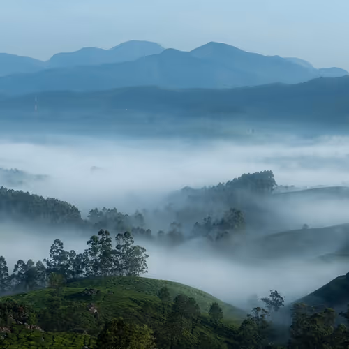 Here, There n Everywhere