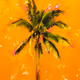 Palm Hours