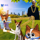 Basenji